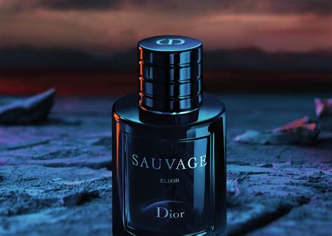 dior sauvage parfum oder elixir|Dior Sauvage Elixir best price.